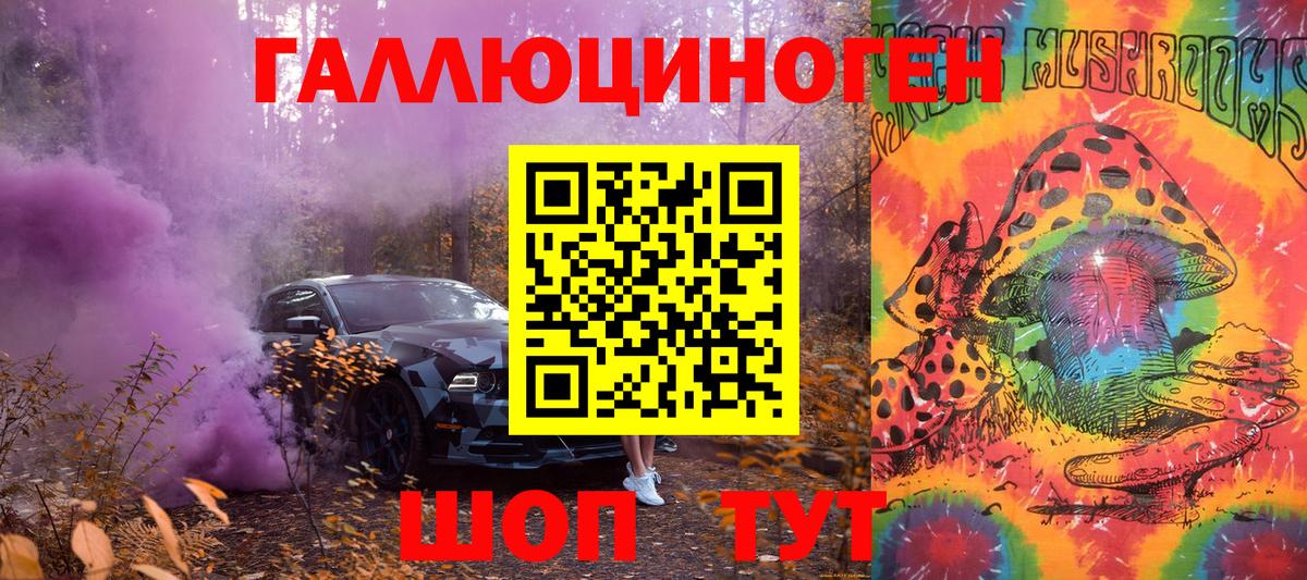 Псилоцибиновые грибы Psilocybe Сосновый Бор