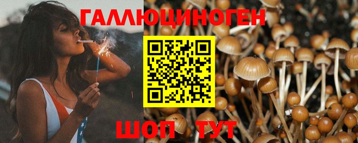 где купить наркоту  Вход с VPN  Сосновый Бор  Псилоцибиновые грибы MAGIC MUSHROOMS 